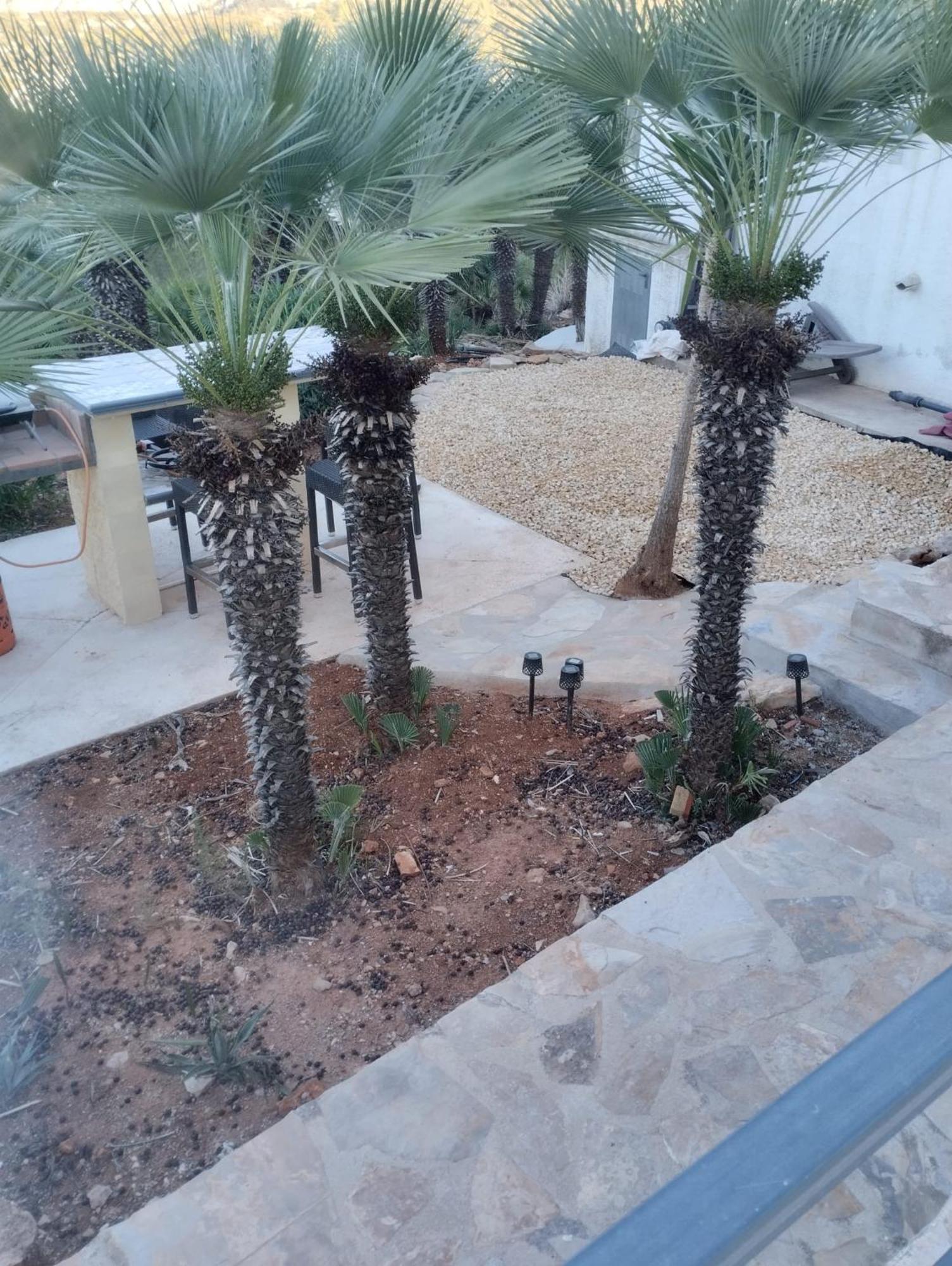 Luxe Appartement Met Tuin Benidoleig Buitenkant foto