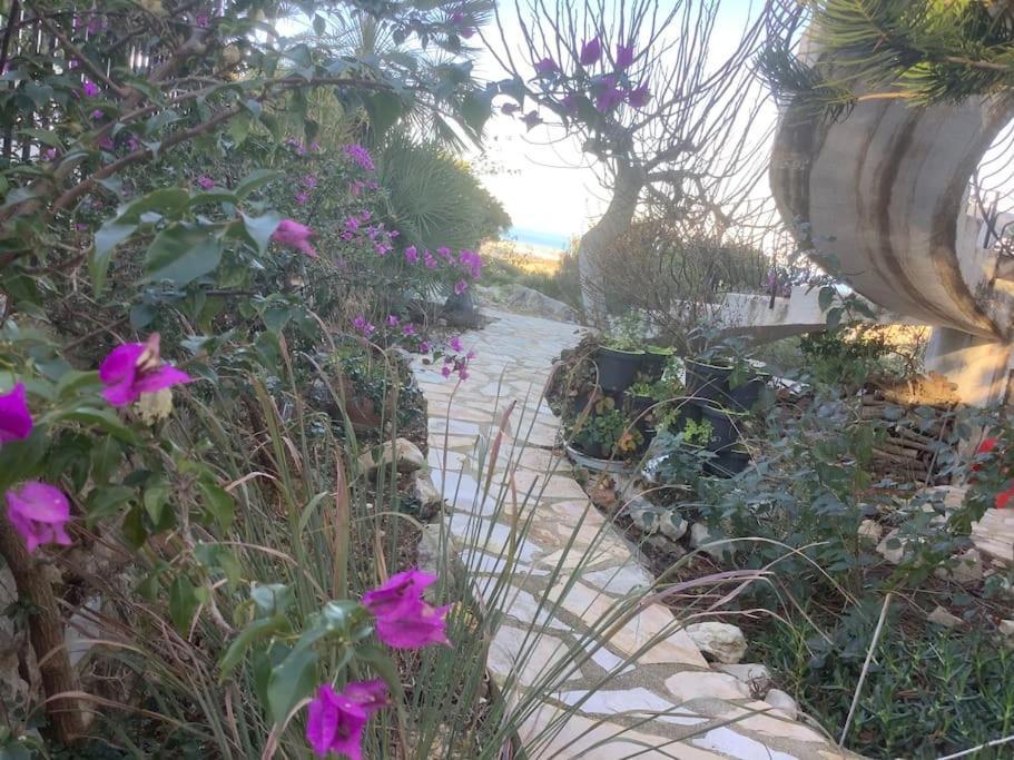 Luxe Appartement Met Tuin Benidoleig Buitenkant foto